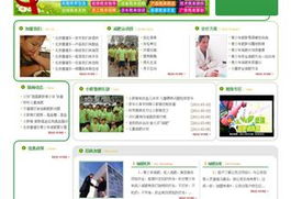 沈陽網站建設與設計 打造專業在線形象，驅動企業數字增長