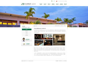 奧遠科技 木森集團官方網站建設專家，深耕云南與昆明的網絡服務